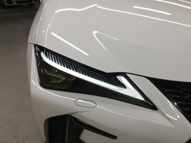 TOYOTA LEXUS UX250H 2020 Image 31