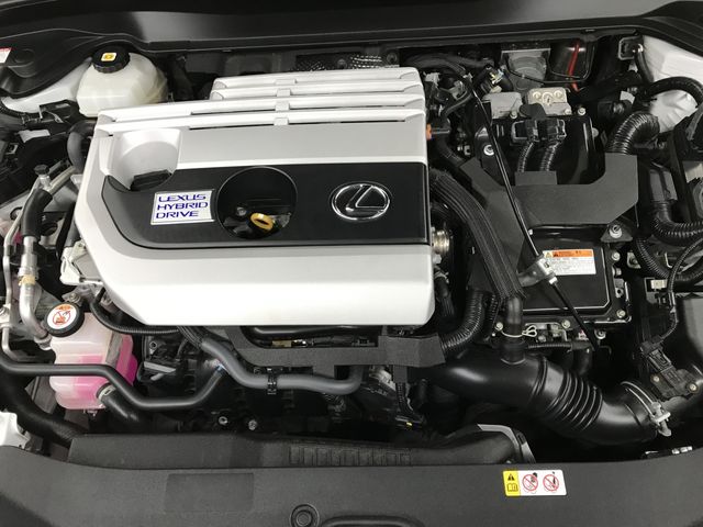 TOYOTA LEXUS UX250H 2020 Image 31