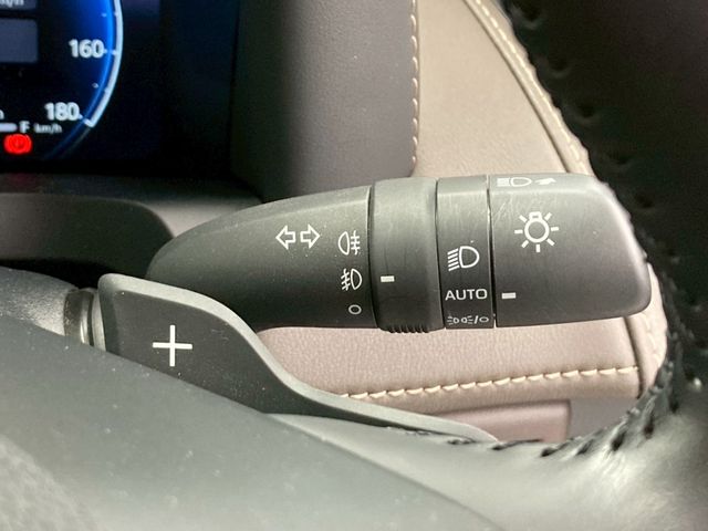 TOYOTA ALPHARD HYBRID 2025 Image 31