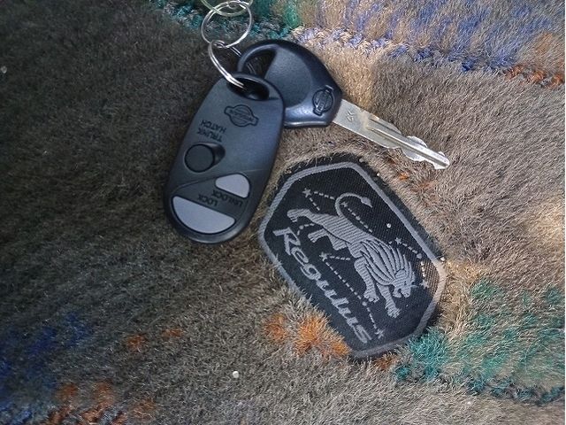 NISSAN TERRANO REGULUS 4WD 2001 Image 31