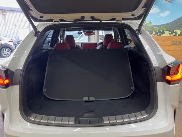 TOYOTA LEXUS NX350H 2023 Image 31