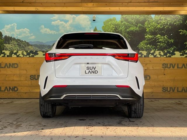 TOYOTA LEXUS NX350H 2023 Image 31