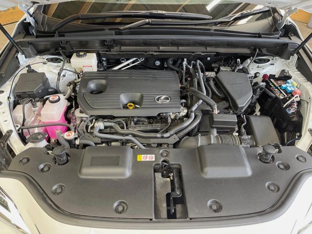 TOYOTA LEXUS NX350H 2023 Image 31