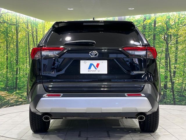 TOYOTA RAV4 4WD 2019 Image 31