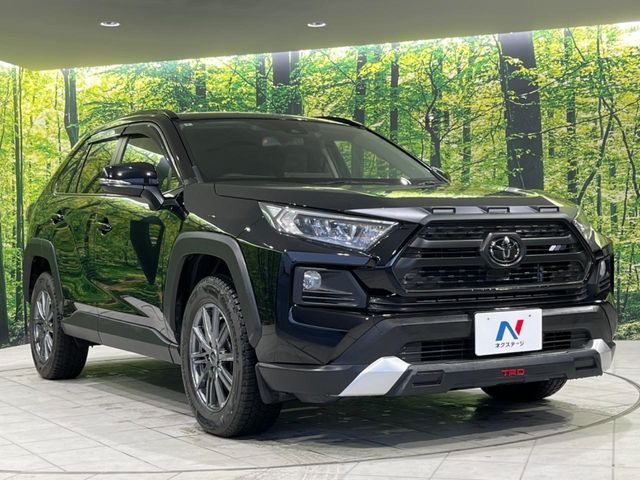 TOYOTA RAV4 4WD 2019 Image 31