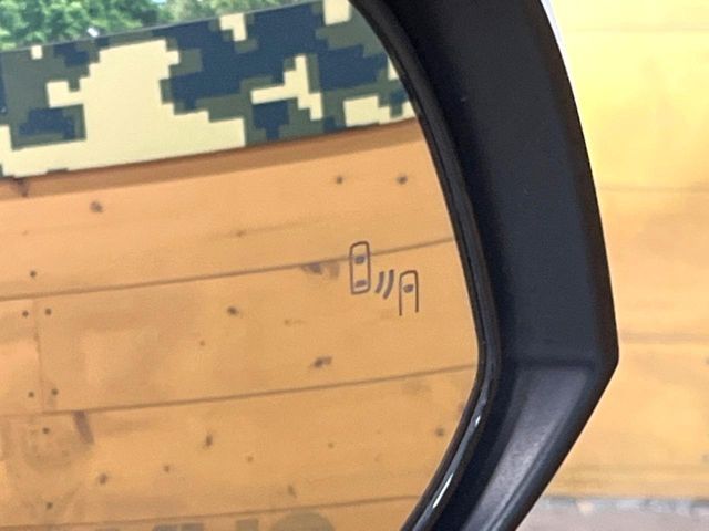 TOYOTA RAV4 4WD 2021 Image 31