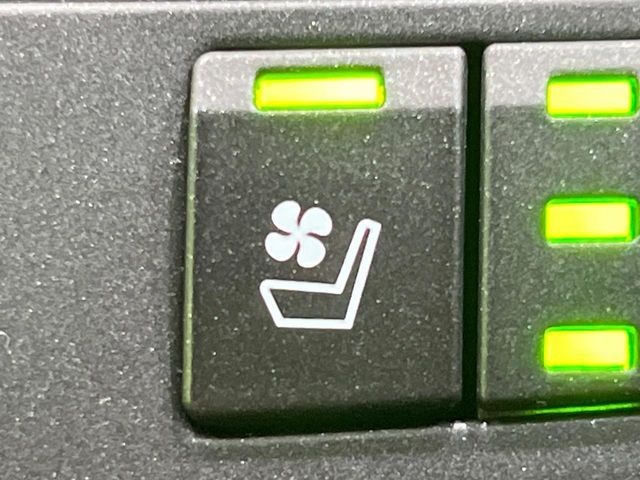 TOYOTA LEXUS NX300H 2015 Image 31