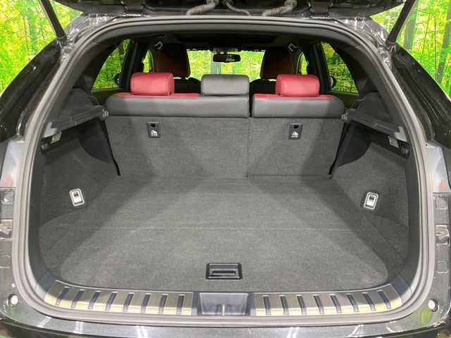 TOYOTA LEXUS NX300H 2015 Image 31