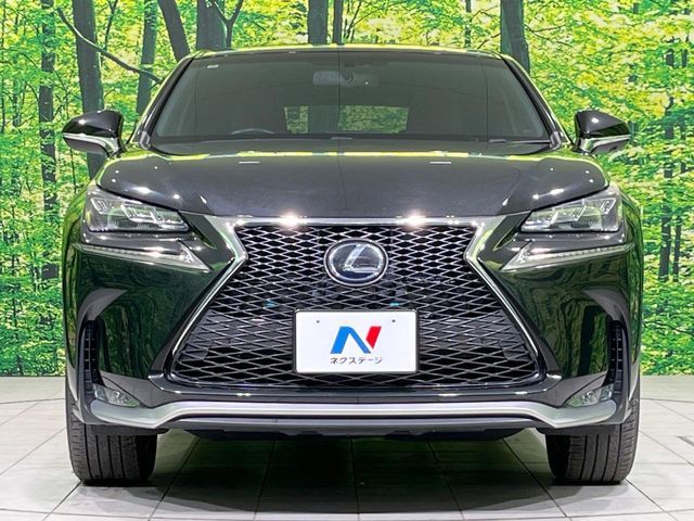 TOYOTA LEXUS NX300H 2015 Image 31