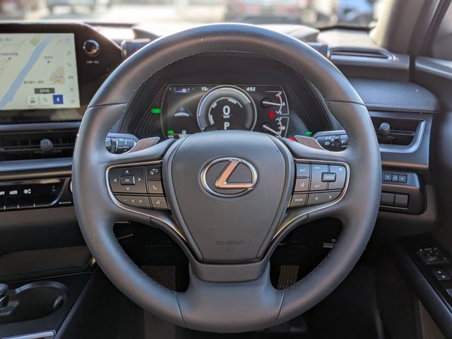 TOYOTA LEXUS UX250H 2023 Image 31