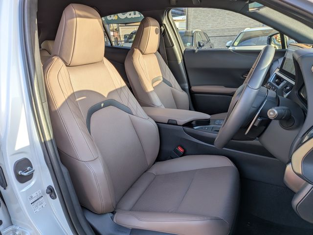 TOYOTA LEXUS UX250H 2023 Image 31