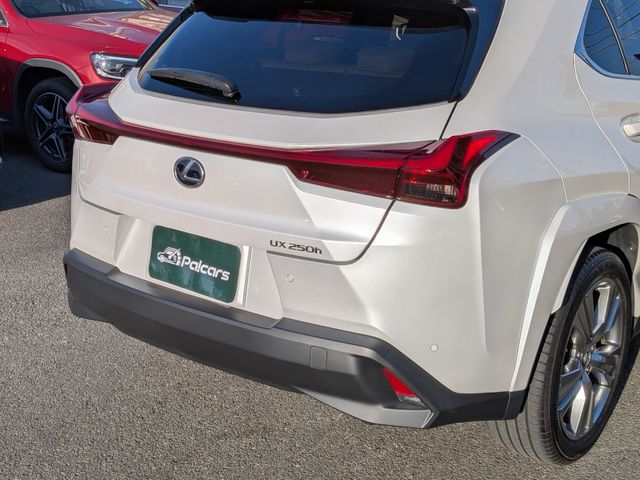 TOYOTA LEXUS UX250H 2023 Image 31