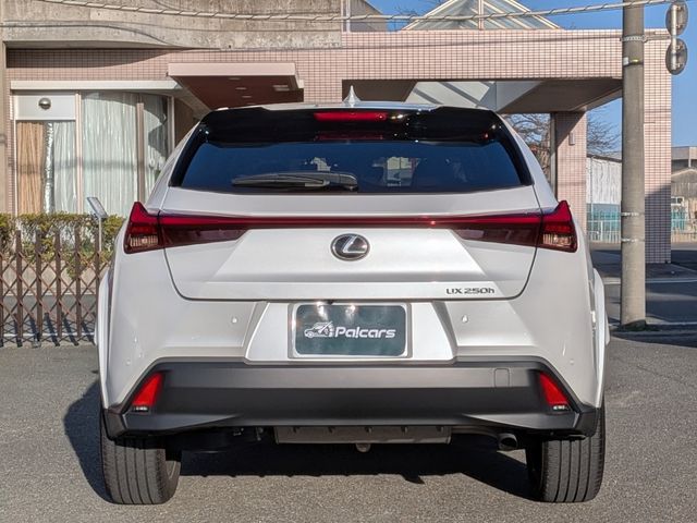 TOYOTA LEXUS UX250H 2023 Image 31