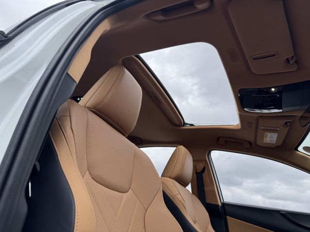 TOYOTA LEXUS NX250 AWD 2024 Image 31
