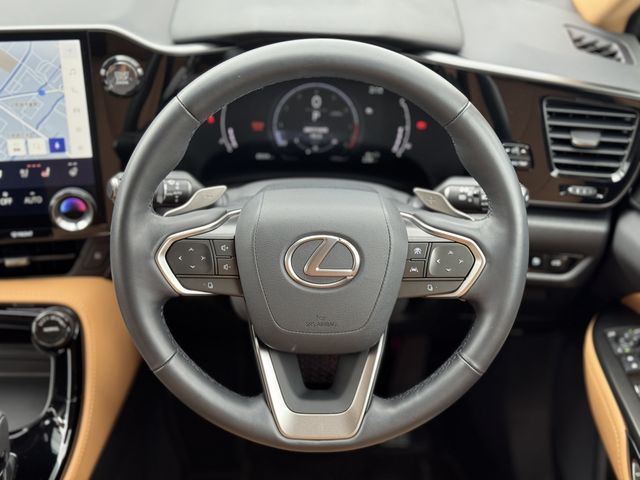 TOYOTA LEXUS NX250 AWD 2024 Image 31