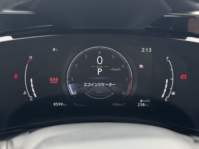 TOYOTA LEXUS NX250 AWD 2024 Image 31