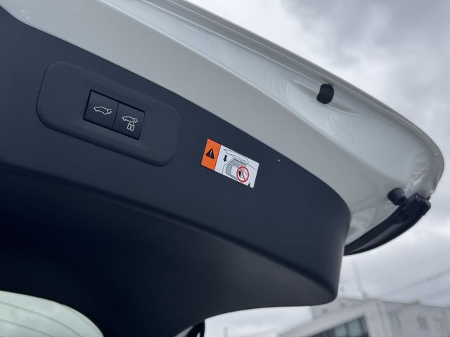 TOYOTA LEXUS NX250 AWD 2024 Image 31