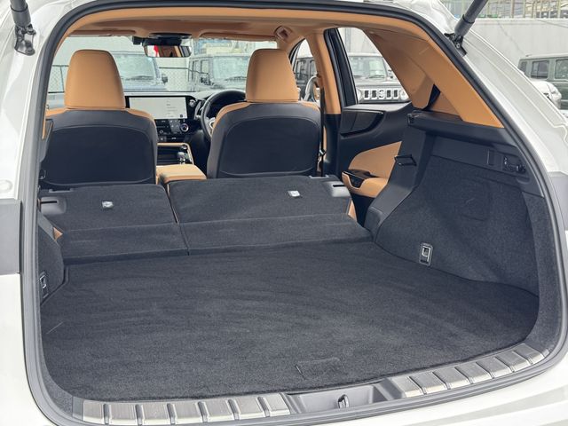 TOYOTA LEXUS NX250 AWD 2024 Image 31