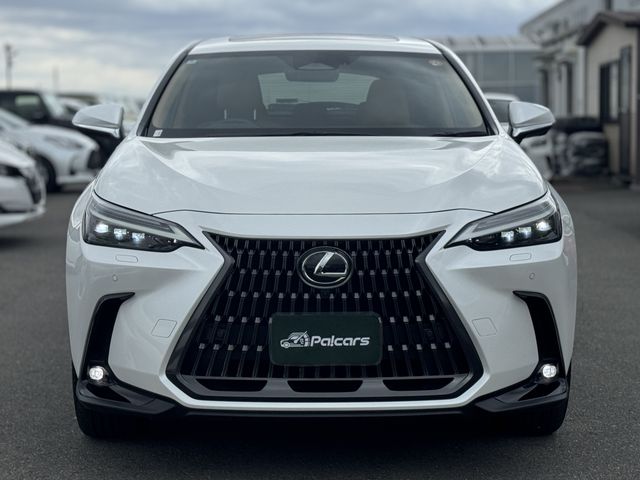 TOYOTA LEXUS NX250 AWD 2024 Image 31