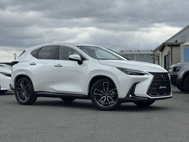 TOYOTA LEXUS NX250 AWD 2024 Image 31