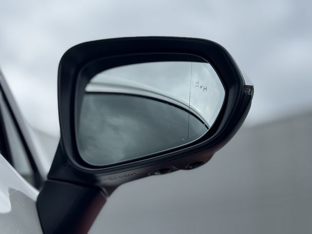 TOYOTA LEXUS NX250 AWD 2024 Image 31