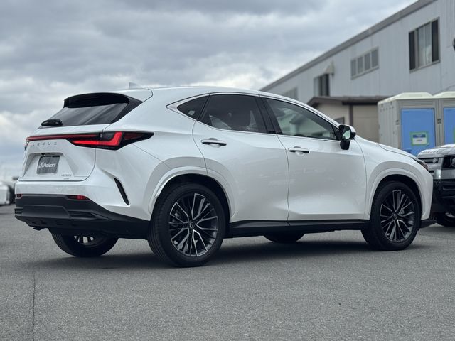 TOYOTA LEXUS NX250 AWD 2024 Image 31