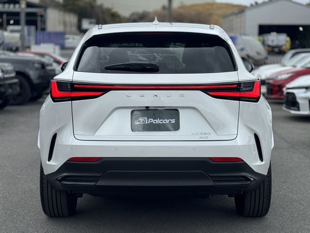 TOYOTA LEXUS NX250 AWD 2024 Image 31