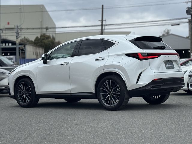 TOYOTA LEXUS NX250 AWD 2024 Image 31