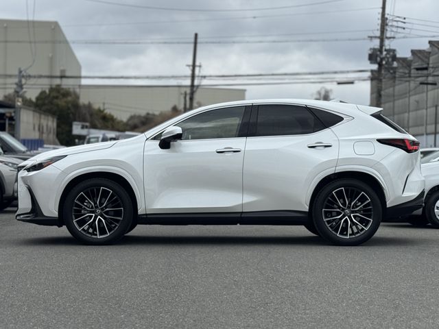 TOYOTA LEXUS NX250 AWD 2024 Image 31