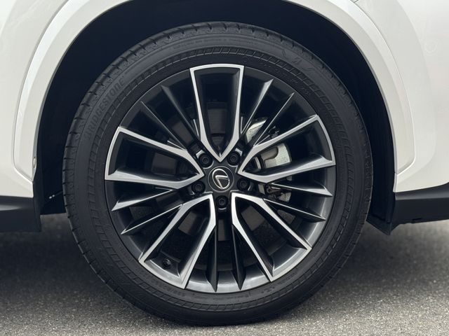 TOYOTA LEXUS NX250 AWD 2024 Image 31
