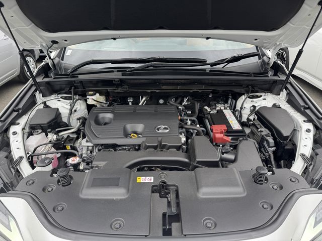TOYOTA LEXUS NX250 AWD 2024 Image 31