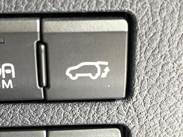 TOYOTA LEXUS NX300 2018 Image 31