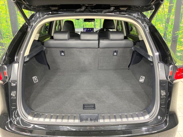 TOYOTA LEXUS NX300 2018 Image 31