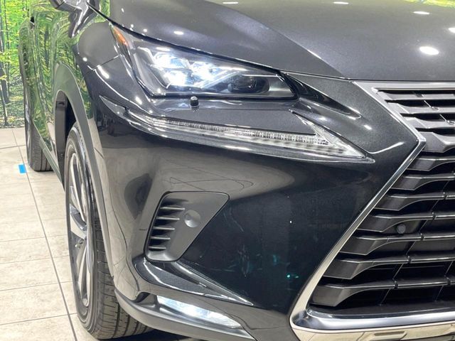 TOYOTA LEXUS NX300 2018 Image 31