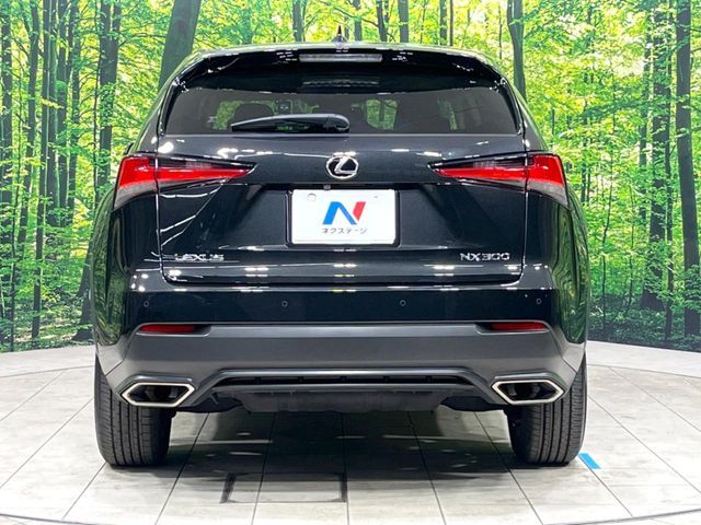 TOYOTA LEXUS NX300 2018 Image 31