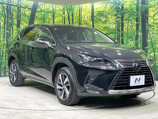 TOYOTA LEXUS NX300 2018 Image 31