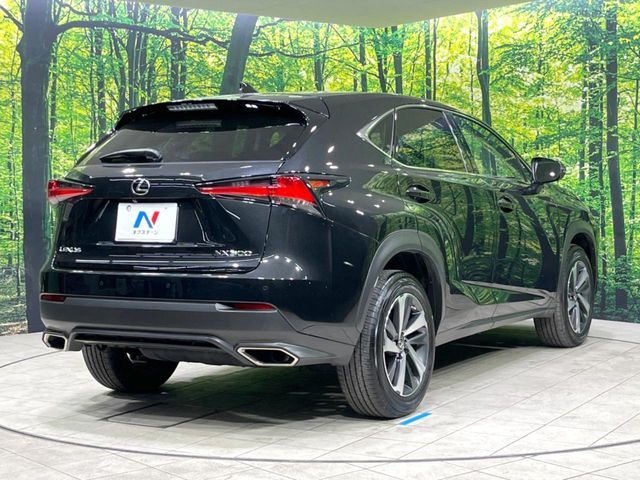 TOYOTA LEXUS NX300 2018 Image 31