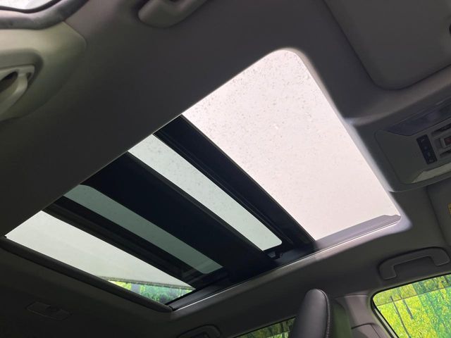 TOYOTA RAV4 HYBRID 4WD 2019 Image 31