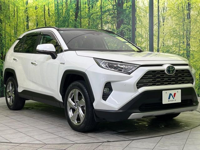 TOYOTA RAV4 HYBRID 4WD 2019 Image 31