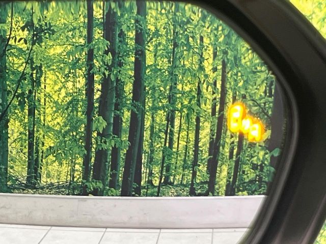 TOYOTA C-HR 2017 Image 31