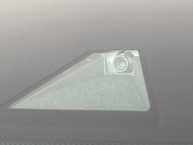 TOYOTA ALPHARD 2020 Image 31