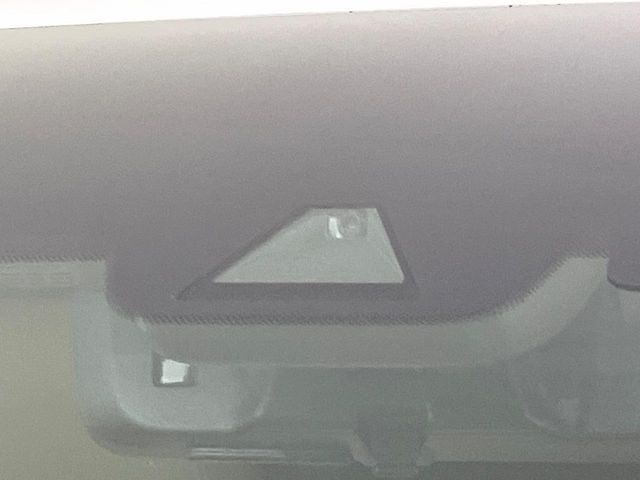 TOYOTA ALPHARD HYBRID 4WD 2019 Image 31