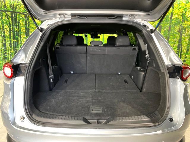 MAZDA CX-8 2018 Image 31