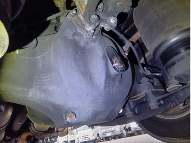 HINO PROFIA 2021 Image 31