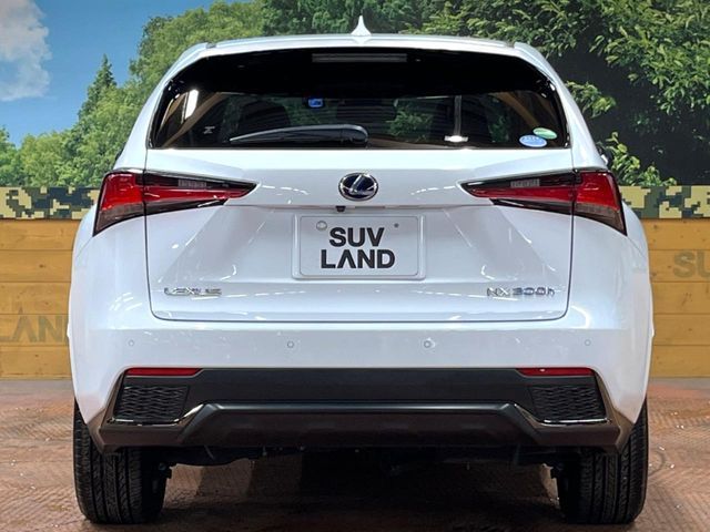 TOYOTA LEXUS NX300H 2018 Image 31