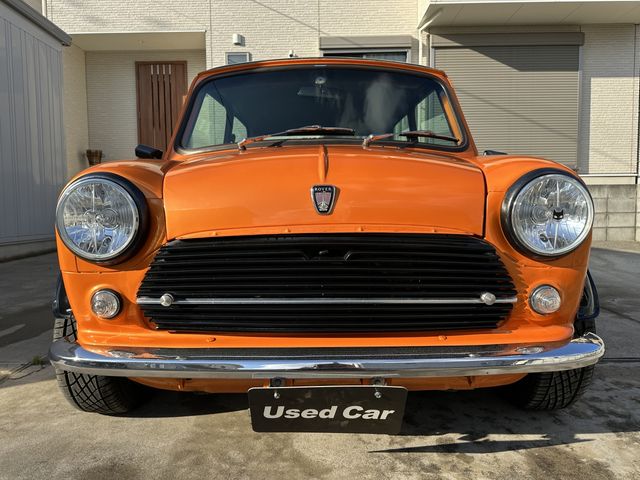 ROVER MINI 1993 Image 31