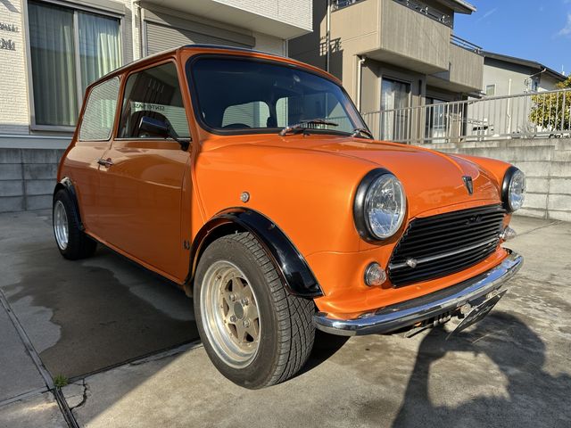 ROVER MINI 1993 Image 31