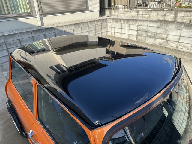 ROVER MINI 1993 Image 31