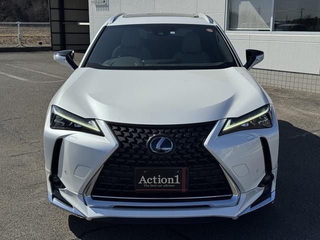 TOYOTA LEXUS UX250H 2021 Image 31