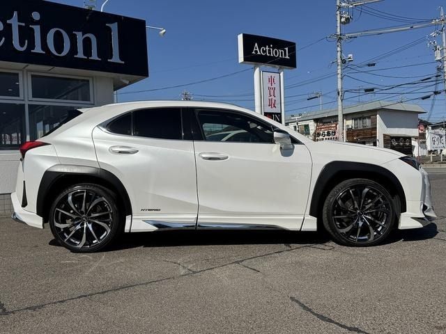 TOYOTA LEXUS UX250H 2021 Image 31